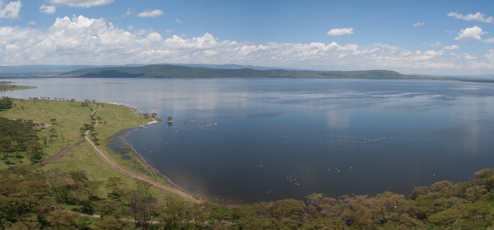 Lake Naivasha Boat Rides: Cruising Kenya's Rift Valley Jewel