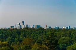 Where to Stay in Nairobi: From Business Hotels to Boutique Stays