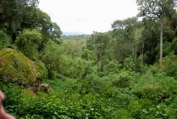 Mount Elgon: Caves, Waterfalls and an Extinct Volcano