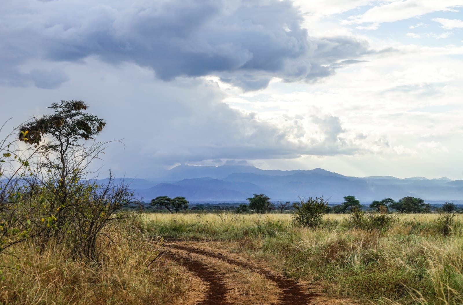 Adventure in Meru: Rivers, Waterfalls and Rhino Sanctuary