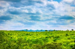 Hiking the Ngong Hills Above Nairobi