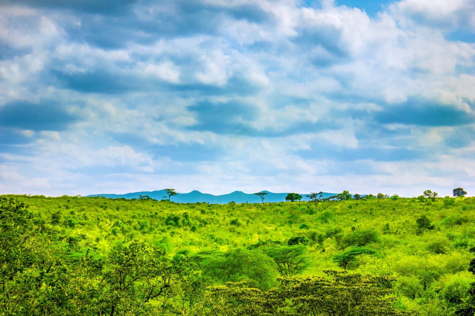 Hiking the Ngong Hills Above Nairobi