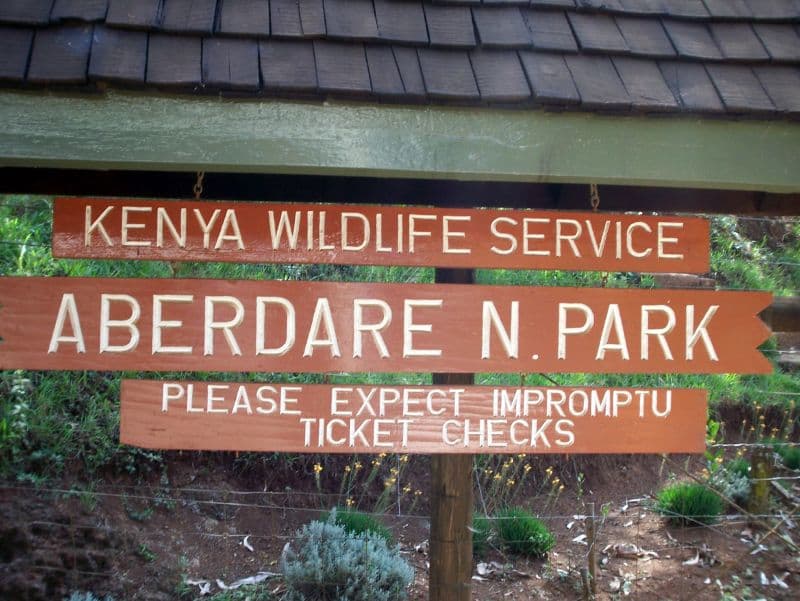 Treetop Lodges in the Aberdares: Watching Wildlife From Above